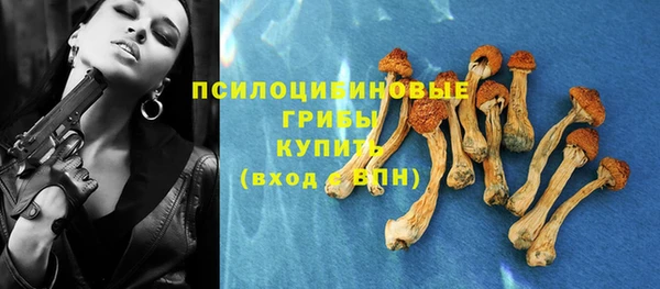 эйфоретик Алексин