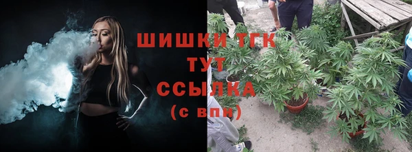 прущие крисы Няндома