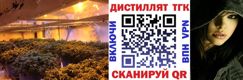 ТГК Wax  Александров 