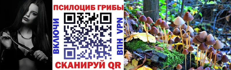 нарко площадка как зайти  где продают наркотики  Александров  Псилоцибиновые грибы Cubensis 